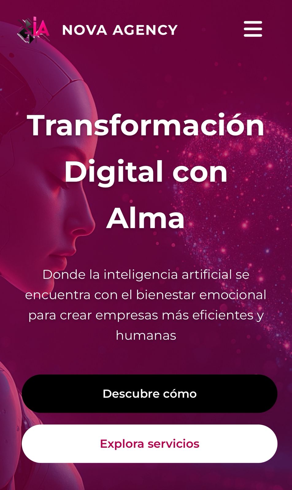 Web para Agencia de IA - Captura 2